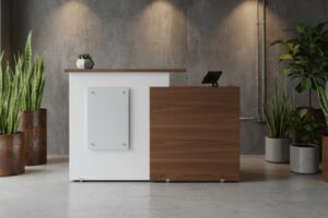 Recepci&oacute;n Recta RE-09
