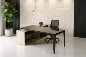 Escritorio Ejecutivo EJ-29