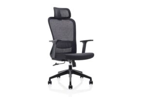 Silla Ejecutiva OHE-175